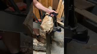 Sawing Live Oak #shorts #tools #woodworking