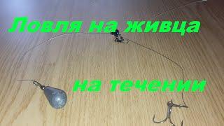 Уловистая оснастка для ловли на живца на течении. Ловля хищника. Рыбалка. Fishing.