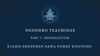 Dudjom Tersar Short Ngöndro teachings by Kyabje Shenphen Dawa Norbu Rinpoche (Part 1: Introduction)