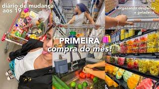 DIÁRIO DE MUDANÇA #6 | primeira compra do mês! + organizando geladeira e despensa ️