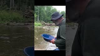 Is This a Good Pan? #goldprospecting #shorts #goldpanning #outdoors