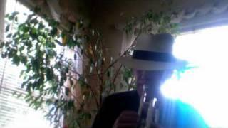 Summertime with S. Blair Fox on trumpet