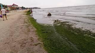 Пляж в Коблево, 16 июня 2018 года