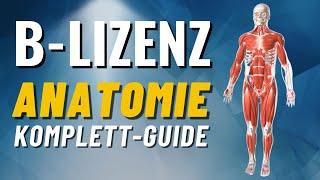 B-Lizenz Anatomie Komplett-Guide! Muskulatur & Gelenke erklärt (B-Lizenz Prüfungsstoff)