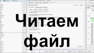 QtBitcoinTrader Как считать данные из внешнего файла