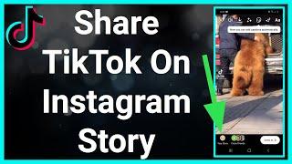 How To Post/Share A TikTok Video To Instagram Story