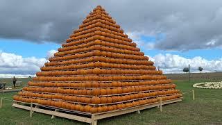 Beautiful autumn from "Pumpkin World" @GardenandForest