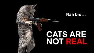 Cat reloading AK-74 animation