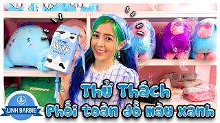 Thử Thách Phối Toàn Đồ Màu Xanh Dương I Linh Barbie Vlog