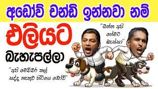 Lesson 508–  ආන්ඩුවෙන් විපක්ෂයට චන්ඩි බසින්  අභියෝගයක්  -English in Sinhala | Ideal guide to English