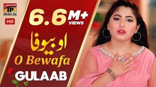 O Bewafa - Gulaab (Official Video) | Latest Punjabi & Saraiki Songs | TP Gold