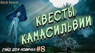 №8 Свитки Удачи, Снаряжение на транспорт, Квесты камасильвии Гайд для новичка в Black Desert 2023