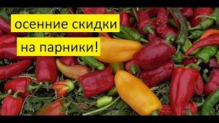 Парник Агрощит оказался надежным, подвожу итог после 2 лет использования.