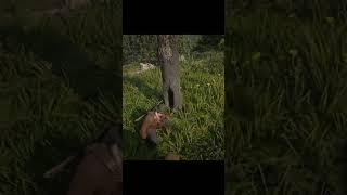 "Treasures and Treasures" Red Dead Redemption 2
