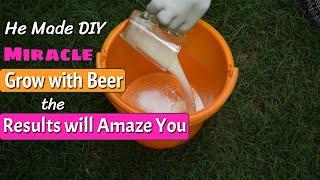 He Made DIY Miracle Grow with Beer, the Results will Amaze You
