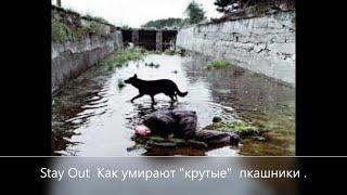 Stay Out Как умирают " крутые" пкашники