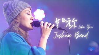 Live Worship【如祢 / Like You】約書亞樂團 Joshua Band