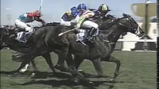 1996 VRC Newmarket Handicap