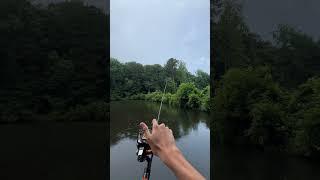 Beginner vs pro fisherman casting #shorts #fishing #bassfishing #fishingshorts