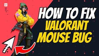 How to fix valorant mouse bug (valorant mouse stuck)