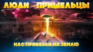 Люди – пришельцы и нас привезли на Землю 100000000 лет назад. Ученый Эллис Сильвер