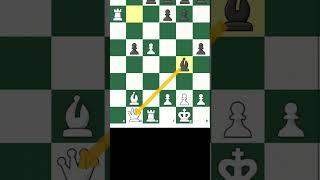 ROOKY IS NOT ENOUGH!!! | Chess Memes #shorts #chess #chessmemes