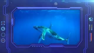 20. El océano y la vida