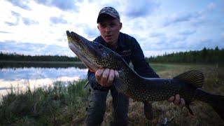 I caught a big pike, I could hardly stand it.  24 hours without rest in the taiga.