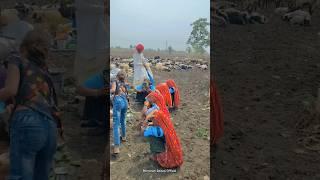 Malwa struggle life #malwa #shorts #rajasthani #villagelife #youtubeshorts #culture #struggle