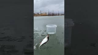 Fishing time