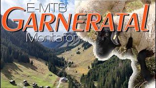 Garneratal MTB mit Schafen Montafon