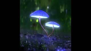 Mushrooms on a rainy road  #shorts #blender