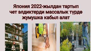 Япония 2022-жылдан тартып чет элдиктерди массалык түрдө жумушка кабыл алат