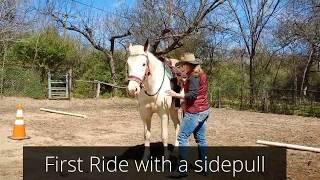 First Ride with a sidepull hackamore bitless bridle