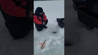 lost another monster this day. The line snapped from rubbing on the ice