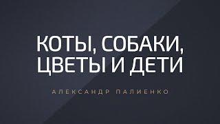 Коты, собаки, цветы и дети. Александр Палиенко.