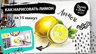 Рисуем лимон. Уроки рисования. Акварельный скетчинг