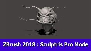 ZBrush 2018 Sculptris Pro Feature