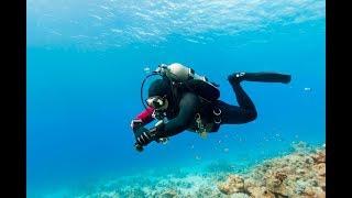 Чеченцы Поймали Водалаза Водолаз Лаьцна Мори Т1ех