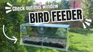 Best Window Bird Feeder Review - Easy Setup with Strong Suction Cups