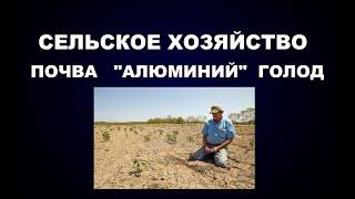 #СЕЛЬСКОЕХОЗЯЙСТВО #ПОЧВА #УРОЖАЙ #ЕДА #АЛЮМИНИЙ #ГОЛОД #ПРОДОВОЛЬСТВИЕ