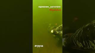 #дневник_шатателя @Byxladesh #груза #подводнаяохота #volga #river #spearfishing #trophy #тренер