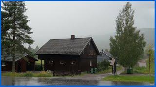 Sound of rain and thunderstorms | For sleep, rest, study and meditation [Thunder and Rain]