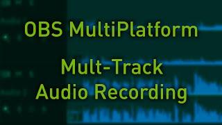 Record Multiple Audio Tracks with OBS Studio + NVENC 1080p 60fps