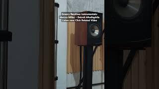 Groovy Basslines Instrumentals: Marcus Miller – Detroit #Audiophile