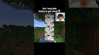 Minecraft Wood Moment