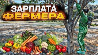 ФЕРМА НА MAJESTIC RP | САМАЯ ПРИБЫЛЬНАЯ РАБОТА?