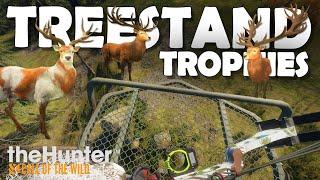 Bow Hunting TROPHY RED DEER From TREESTANDS ONLY!!! - Call of the Wild