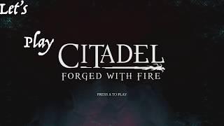 Citadel: Forged With Fire: You're a Wizard, T-Rex arms, MAGIC!!