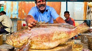 KASIMEDU  SMILE SEKAR | BIG BROWN GROUPER FISH CUTTING VIDEO | IN KASIMEDU | FF CUTTING 